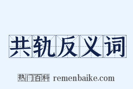 共轨反义词是什么意思的图片
